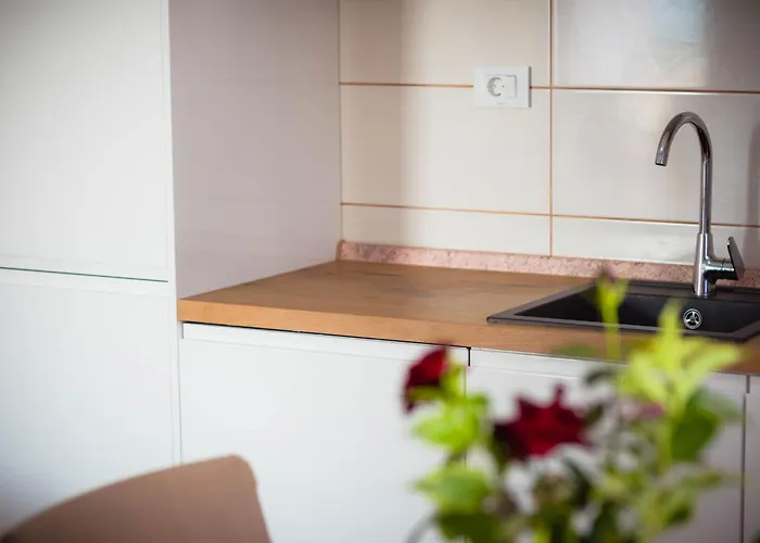 Apartman Bare I Danica